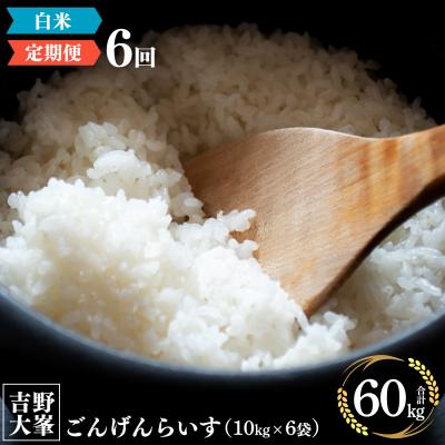 ふるさと納税 吉野町 【令和7年産】【定期便】ひのひかり 奈良のお米のお届け便　10kg×半年分(6回)