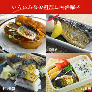 訳あり 塩 サバ フィーレ 3.5kg さば 鯖 切り身 宮城県 石巻市