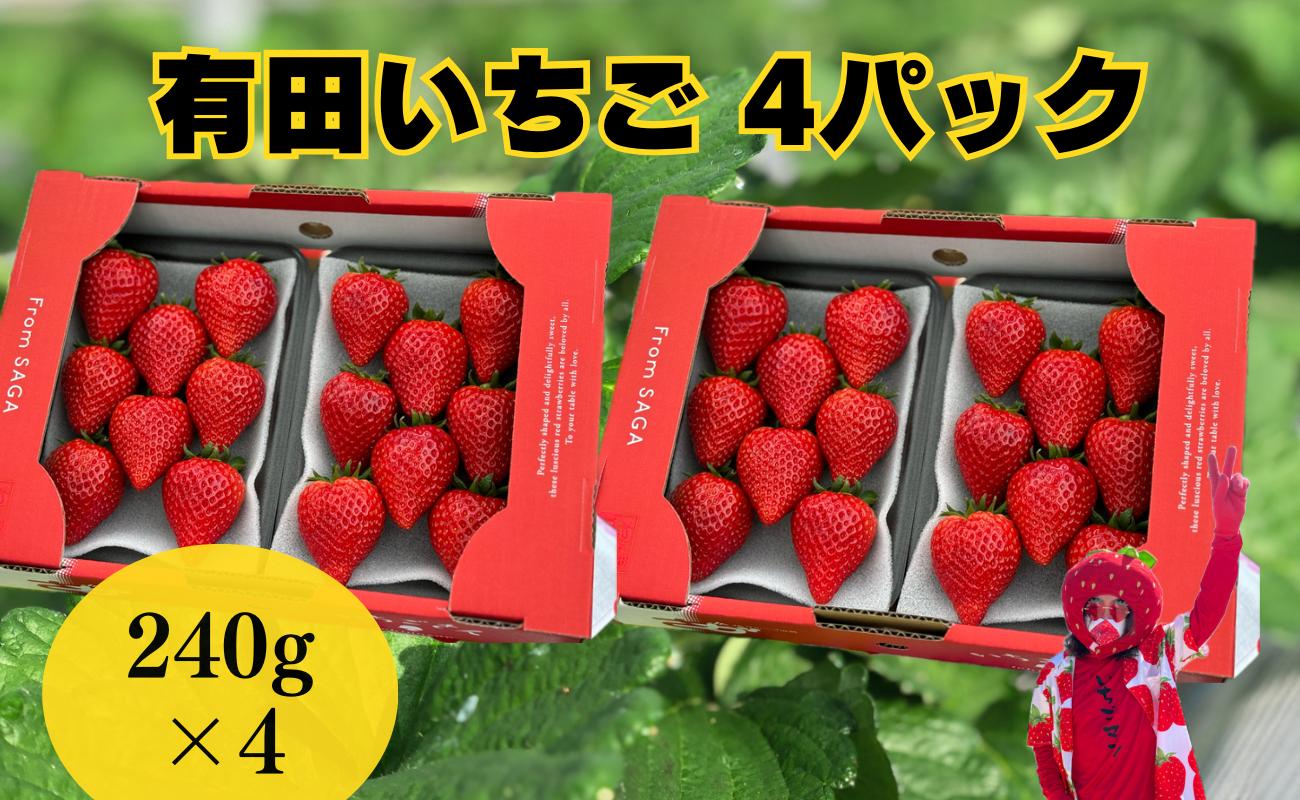 
有田いちご 有機肥料 いちごさん 240g×4パック みゆきファーム
