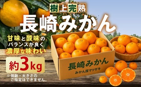 ★受付期間限定★【樹上完熟】 長崎みかん （普通温州） 約3kg 温州蜜柑 温州みかん 蜜柑 みかん ミカン 果物 果実 フルーツ 完熟 長崎県 長崎市 常温 【2026年12月下旬-2027年1月下旬発送予定】