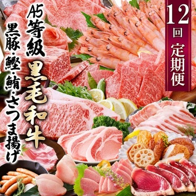 定期便(12回配送)お楽しみ便(A5等級黒毛和牛・黒豚・かつお・まぐろ・さつまあげ等)JJ-6002【1166755】ふるさと納税 定期便 牛肉 豚肉 しゃぶしゃぶ ステーキ ハンバーグ まぐろ カツオ タタキ さつま揚げ さしみ ソーセージ 餃子 すき焼き 焼肉