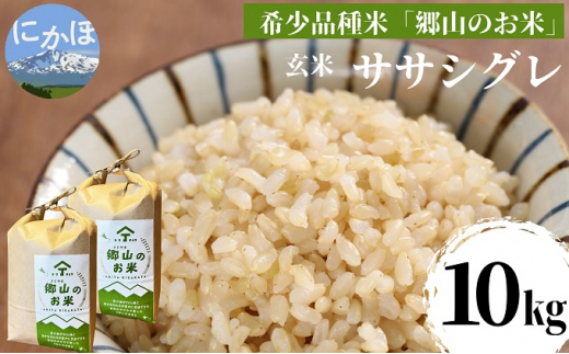 
【希少品種米】ササニシキの親　農薬不使用のササシグレ「郷山のお米」10kg（5kg×2袋）（玄米）
