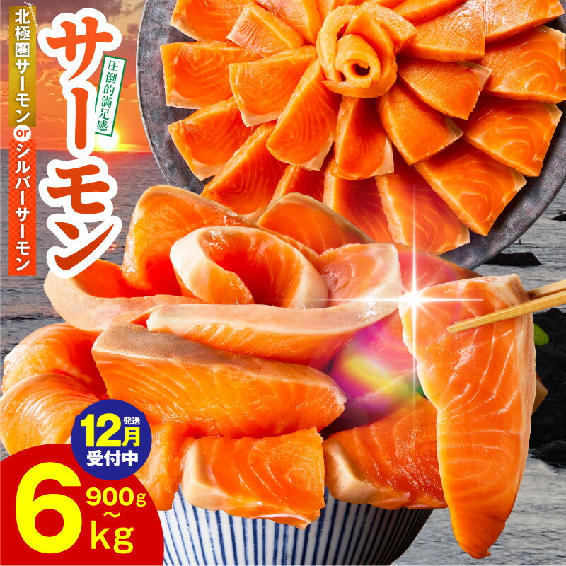 【ふるさと納税】満足度9割以上 サーモン ポーション 1kg / 1.5kg 切落し 900g 定期便 訳あり 発送時期が選べる サイズ不揃い 鮭 小分け ブロック 柵 刺身 海鮮丼 生食 鮮度抜群 海鮮 冷凍 驚異のリピート率 楽天限定 年内発送 発送月 大阪府 泉佐野市
