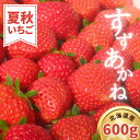 【ふるさと納税】【2025年7月順次発送】 夏秋イチゴ「すずあかね」計600g 《厚真町》【こばやしいちご農園】[AXBT003]