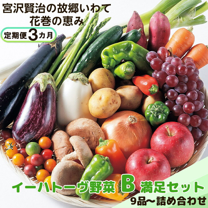 【ふるさと納税】《定期便3ヶ月》 イーハトーヴ野菜B 満足セット 9品～ ふるさと納税 野菜 定期便 お楽しみ 旬 冷蔵