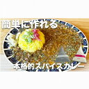 【ふるさと納税】スパイスカレーが簡単に作れるキット (KANTAN spice SET)