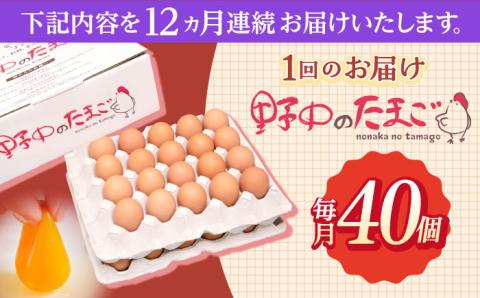 【12回定期便】産みたて新鮮卵 野中のたまご  40個×12回 計480個【野中鶏卵】 [OAC006]