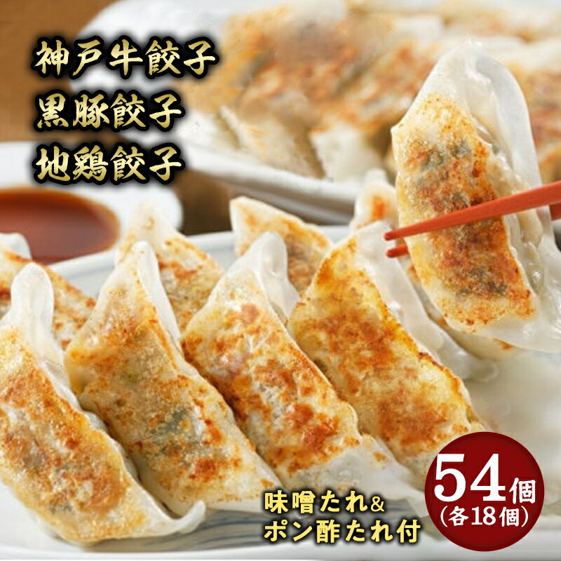 【ふるさと納税】芦屋 伊東屋謹製「神戸牛 餃子・黒豚 餃子・地鶏 餃子」各1折セット (たれ付)【ぎょうざ ギョーザ 中華 点心 惣菜 簡単 おうち おかず おつまみ 牛肉 豚肉 鶏肉 もちもち皮 ジューシー 肉汁 冷凍 食べ比べ イトー屋 お取り寄せ ギフト お中元 お歳暮
