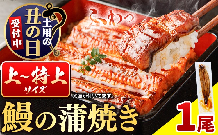 
                  国内産 鰻の蒲焼き 徳島県産 うなぎの蒲焼き 1尾 タレ・山椒付《土用の丑の日発送(7/15～7/26)》うなぎの蒲焼き うなぎ 鰻 蒲焼 蒲焼き ウナギの蒲焼 徳島県産
                