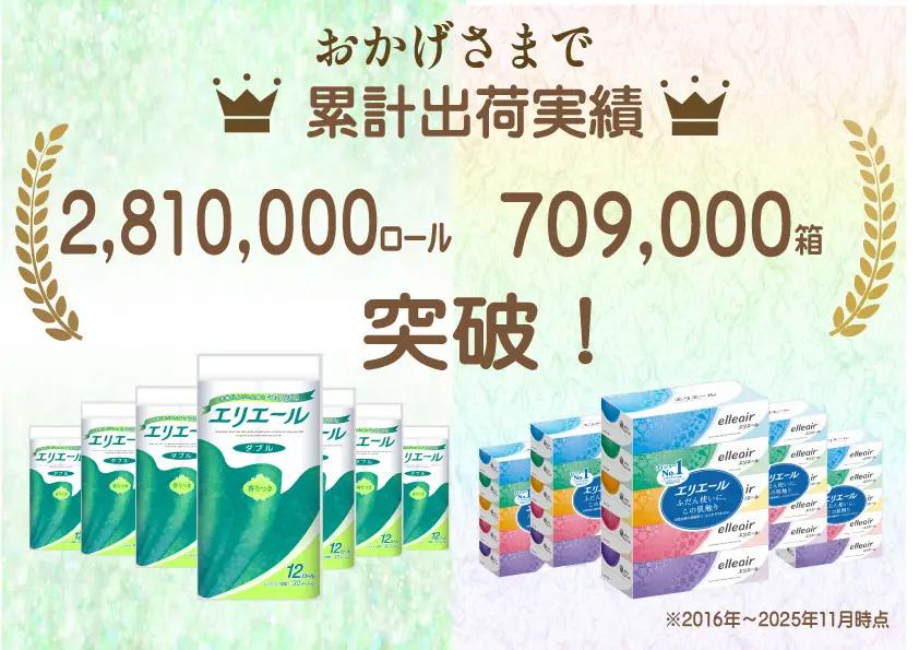 定期便 3ヵ月連続お届け エリエール 収納に便利 コンパクト 〈アソート〉 トイレットペーパー ティッシュ トイレ ボックスティッシュ まとめ買い ペーパー ひとり暮らし 紙 常備品 消耗品 日用品 