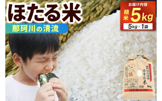 精米 5kg ほたる米【令和7年産】お米 米 ご飯 城里町 桂農産 ＼那珂川の清流ホタル米／ (AX009)