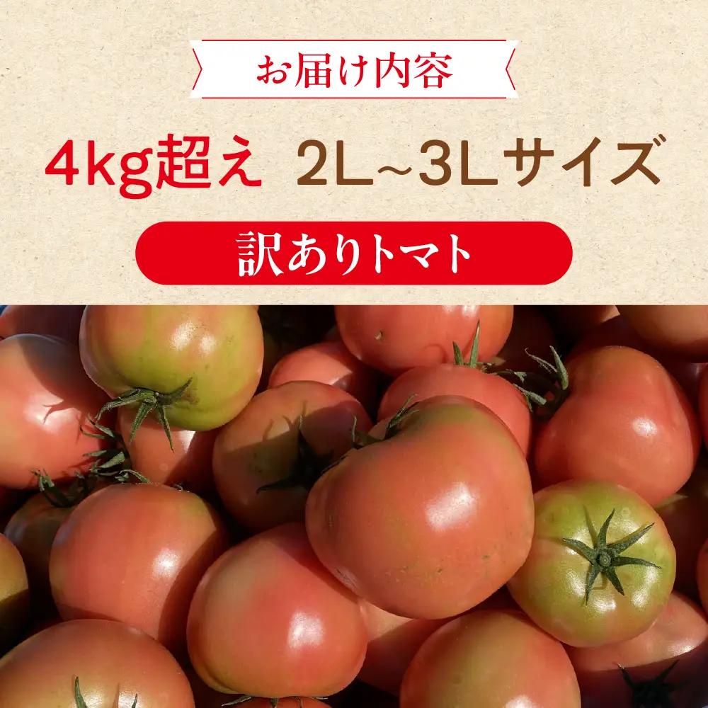 【ふるなびWEEK対象】（訳あり）甘熟トマト麗月 2Ｌ～3Ｌ 大サイズ 4kg以上 【119-5fw】