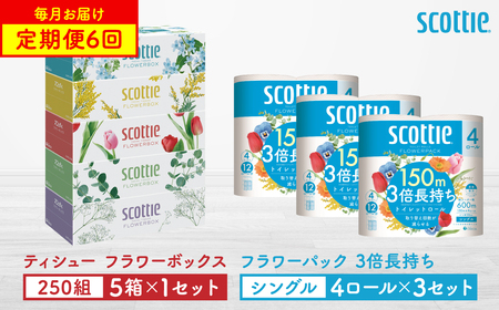 【定期便6回】【毎月お届け】【スコッティ】 ティシュー フラワーボックス 250組（5箱パック×1セット）＋フラワーパック 3倍長持ち（4ロール（シングル）4パック ×3セット） ティッシュ トイレットペーパー 日用品 ストック