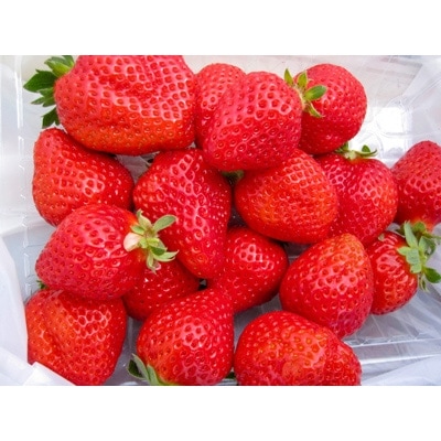 【先行受付】KINGあまおう 福岡県岡垣町産 1,320g(220g×6パック)【配送不可地域：離島】【1147560】