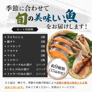 《6か月定期便》干物セット 15品程度(9種類程度) 干物