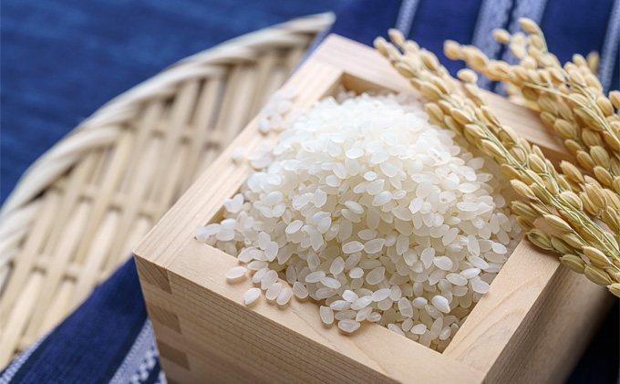 北海道 イエスクリーン米 令和7年産 ななつぼし 10kg 精米 米 白米 お米 ごはん ご飯 ライス 道産米 ブランド米 新しのつ米 ふっくら 食味ランキング 産地直送 カワサキ森田屋 送料無料