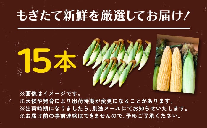 もぎたて新鮮を厳選して15本お届け！
※天候や発育により出荷時期が変更になることがあります。