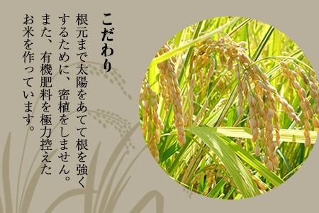 【令和6年産】新米『児玉農園』 にこまる5kg 5kg×1袋《10月下旬-11月末頃出荷予定(土日祝除く)》---sg_kodniko6_cf10_24_10000_5kg---