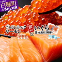 【ふるさと納税】【2月末までにお届け】【訳あり】いくら醤油漬け（鱒卵）200g〜 × アトランティックサーモン800g 海鮮丼 セット 【選べる容量】 ふるさと納税 海鮮 いくら サーモン 刺身 小分け ふるさと 人気 ランキング 北海道 白糠町