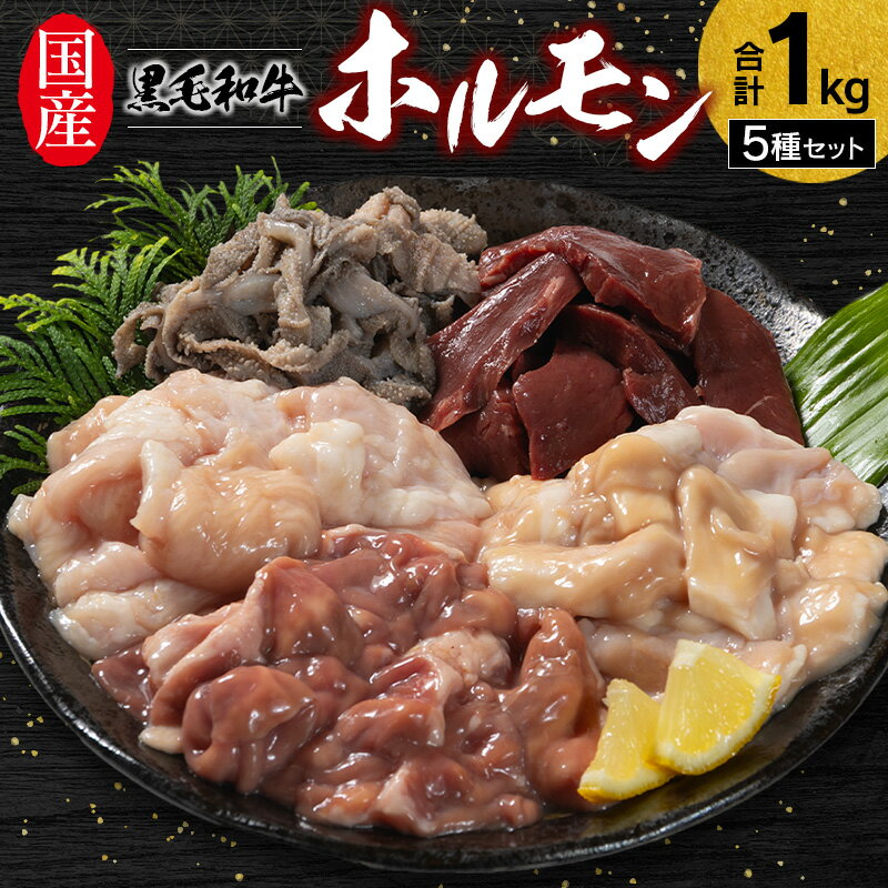 【ふるさと納税】国産黒毛和牛ホルモン 5種セット 合計1kg やみつき 小分け 冷凍