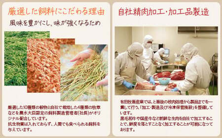 黒毛和牛　特上焼肉極み500g　宮崎有田牧場　EMO牛　国産牛肉＜1.8-23＞