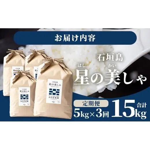 【定期便３回】３ヶ月連続お届け 石垣島産 星の美しゃ（ほしのかいしゃ）15kg（5kg×3回）MK-6