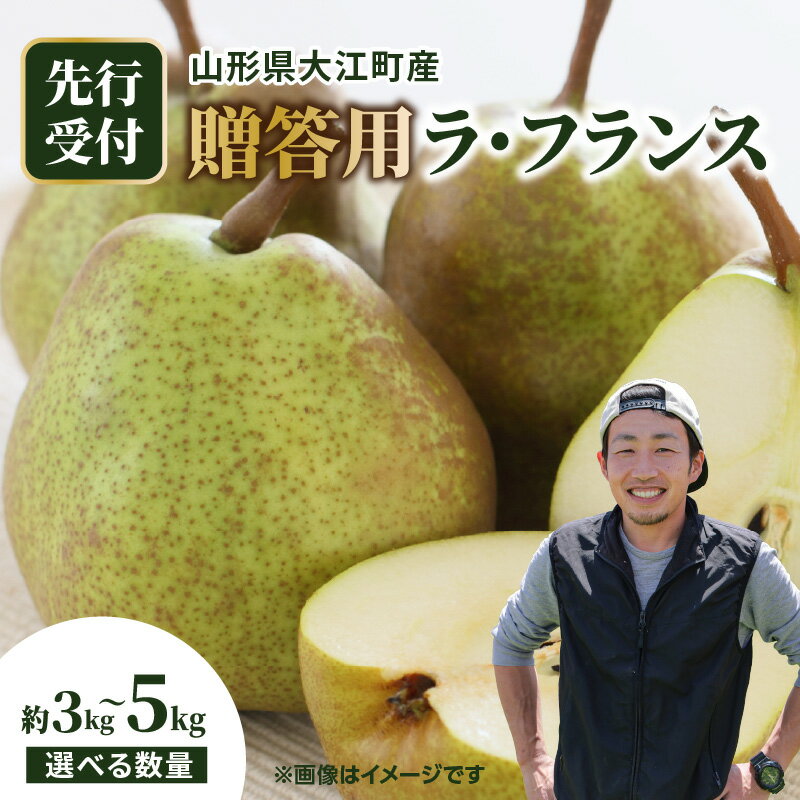 【ふるさと納税】《先行受付》大江町産 贈答用ラフランス 選べる内容量 （約3kg～5kg 10玉～16玉前後）【2025年11月中旬頃～順次発送予定】