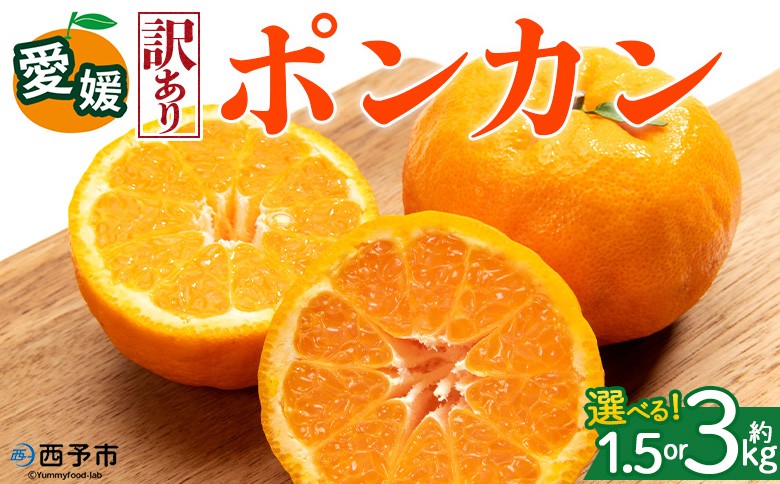 
                  ＜【訳あり】愛媛県産 ポンカン 約1.5kg／3kg＞『2027年1月上旬～3月上旬迄順次発送予定』 選べる 容量 内容量 わけあり ぽんかん ジューシー みかん 蜜柑 果物 くだもの フルーツ ミカン 果汁 国産 特産品 株式会社三代目みかん職人 愛媛 西予市【常温】
                