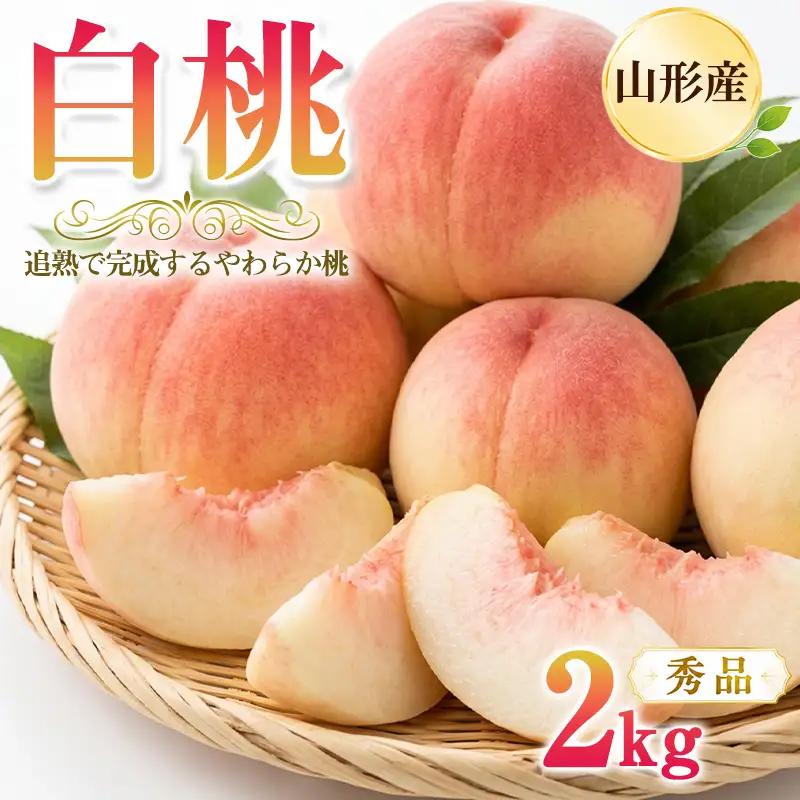 山形県 白桃2kg (5～9玉) 秀品 [追熟で完成するやわらか桃] 産地直送【令和9年産先行予約】FS26-001