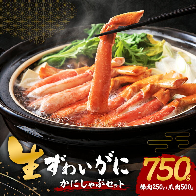 【ふるさと納税】生ずわいがに カニしゃぶセット 750g(棒肉250g+爪肉500g)　お届け：最大で1ヶ月程度かかる場合がございます。