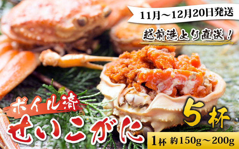 
                  【先行予約】越前港より直送！ せいこがに（約150～200g）5杯※発送前に在宅確認の電話連絡をいたします!【11月～12月配送】セイコガニ せいこ蟹 セコガニ 雌 ずわいがに せいこがに かにみそ カニ味噌 越前ガニ ボイル 刺身 蟹 鍋 しゃぶしゃぶ 冷蔵 カニ 鍋 海鮮 かに 国産 南越前町 送料無料
                