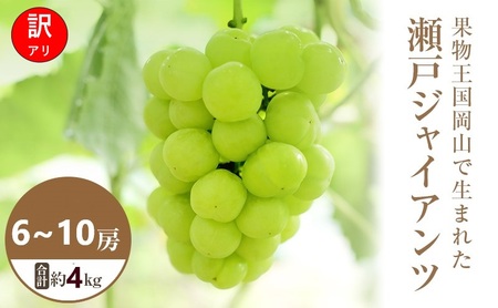 瀬戸ジャイアンツ 訳あり 岡山県産 瀬戸ジャイアンツ【約4kg 6〜10房】【常温】【先行予約】