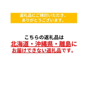 【定期便全3回】朝採れおまかせ旬の高原野菜 7種セット (出荷時期 : 2026年6月～12月／北海道・沖縄県・離島は配送不可) 【 産地直送 高原野菜 産直 季節の旬の野菜 農薬 化学肥料 不使用 