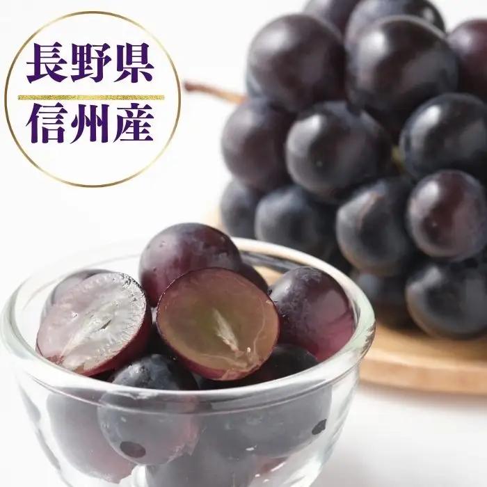 ナガノパープル 約2kg ※最低1.8kg以上（4~6房）| ナガノパープル