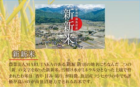 【新新米】南魚沼産コシヒカリ5kgふるさと八海山の農家直販