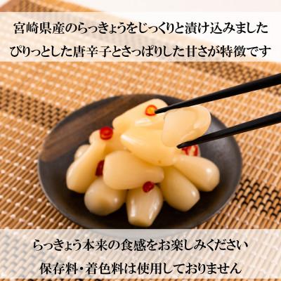 ふるさと納税 三股町 純国産ぴり辛らっきょうセット(130g×10袋・計1.3kg)【MI013】 |  | 01