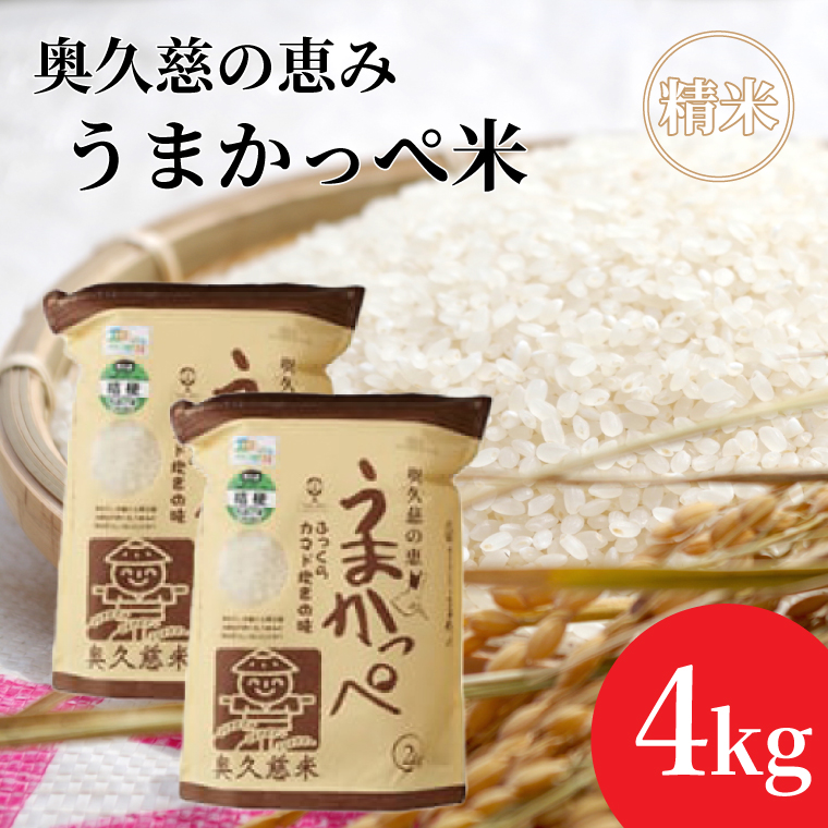 令和7年産　奥久慈の恵みうまかっぺ米（コシヒカリ）2kg×2袋 計4kg｜茨城県 大子町 お米 白米 精米 ブランド米 銘柄米 食味値 ふっくら もちもち （AH001-2）