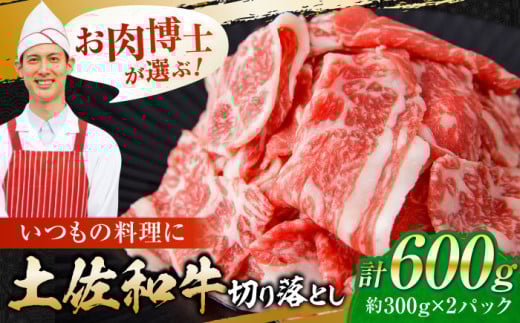 高知県産 土佐和牛 切り落とし 炒め物 すき焼き用 約300g×2 総計約600g 国産 牛肉 切落し すきやき 牛 国産 高知県産 赤身 切り落とし 小分け カレー 肉じゃが 牛丼 肉炒め 【(有)山重食肉】 [ATAP079]