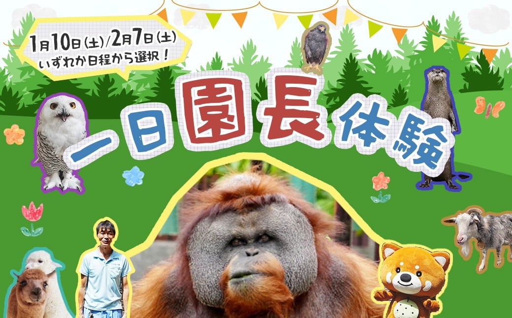 
            市川市動植物園　一日園長チケット（1月10日または2月7日実施）　【11203-0371】
          