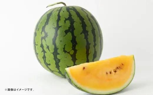 金色羅皇 1玉入り 3L以上 約8kg スイカ すいか 西瓜 プレミアムスイカ 果物 くだもの フルーツ 果実 果汁 果肉 甘み 希少性 国産 熊本県産 【 2027年5月上旬～6月上旬発送予定 】