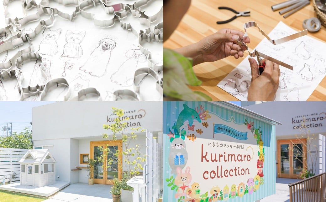 【 絶滅危惧種 】 コアジサシ 子育て セット 