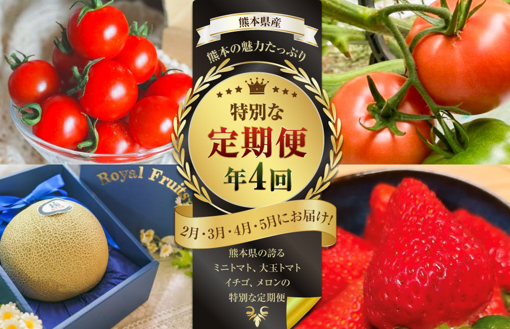 【年4回定期便】熊本の魅力たっぷり、特別な定期便 熊本県産 ミニトマト 約3kg イチゴ 250g×2パック 約500ｇ 大玉トマト 約3.5㎏ メロン 2玉【2026年2月上旬発送開始】4種 フルーツ くだもの 果物 やさい 野菜