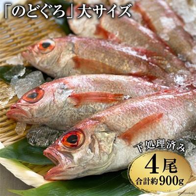 ふるさと納税 島原市 脂のり抜群!「のどぐろ」大サイズ(200〜250g)4尾＜煮付け・塩焼き用＞