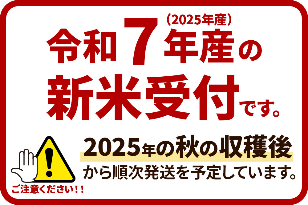 【令和7年産新米受付】【白米】令和7年産 横手市産 あきたこまち 5kg