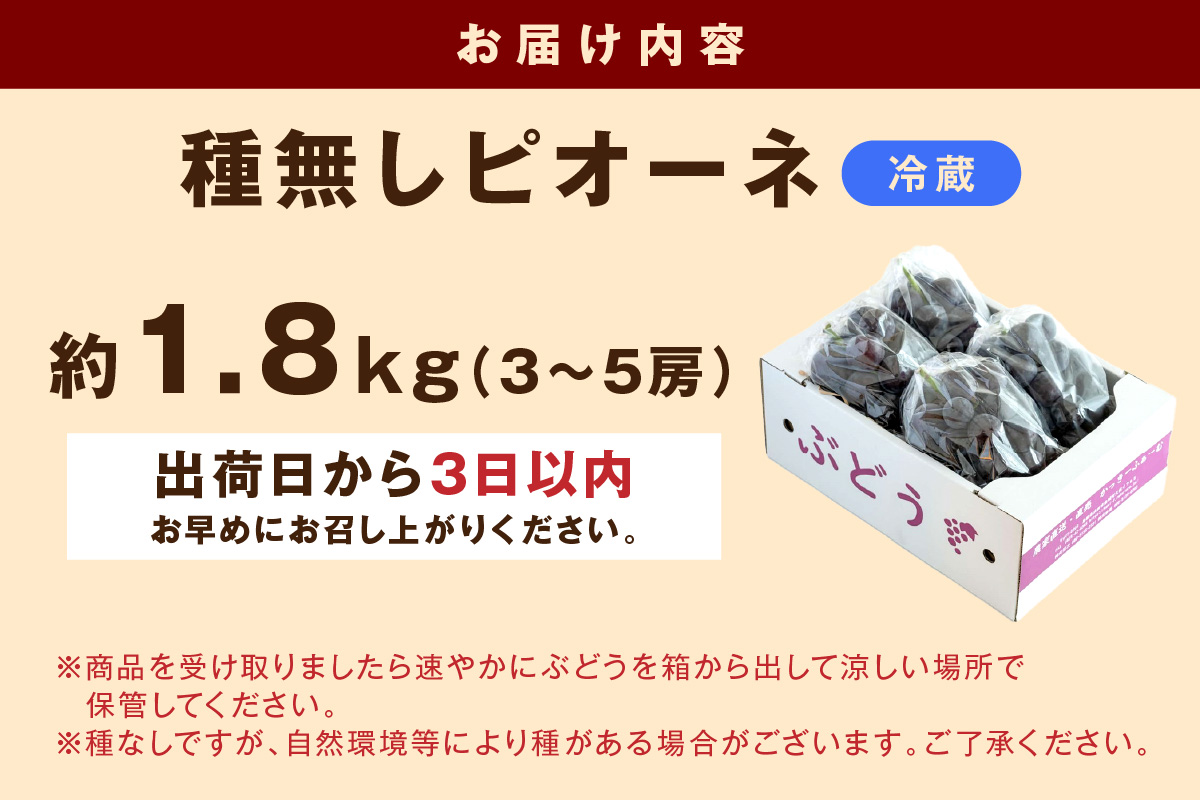 種無しピオーネ 約1.8kg 3～5房《9月上旬頃から発送》 果物 ピオーネ ぶどう  【183_1876】