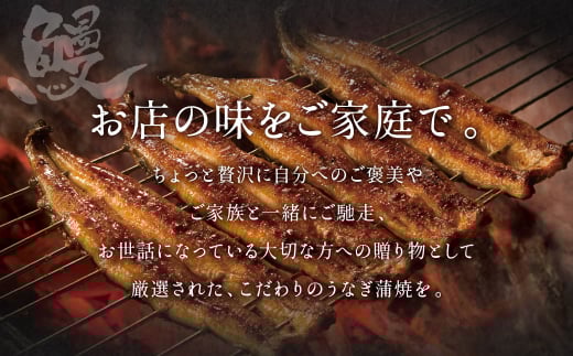 【4ヶ月定期便】九州産 手焼き炭火 うなぎ蒲焼 2尾（1尾あたり120～149g）