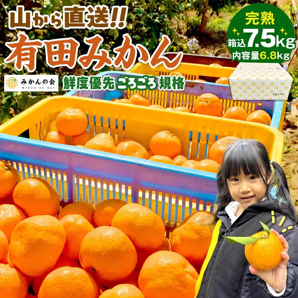 有田みかん 訳あり みかん 約6.8kg  和歌山県産