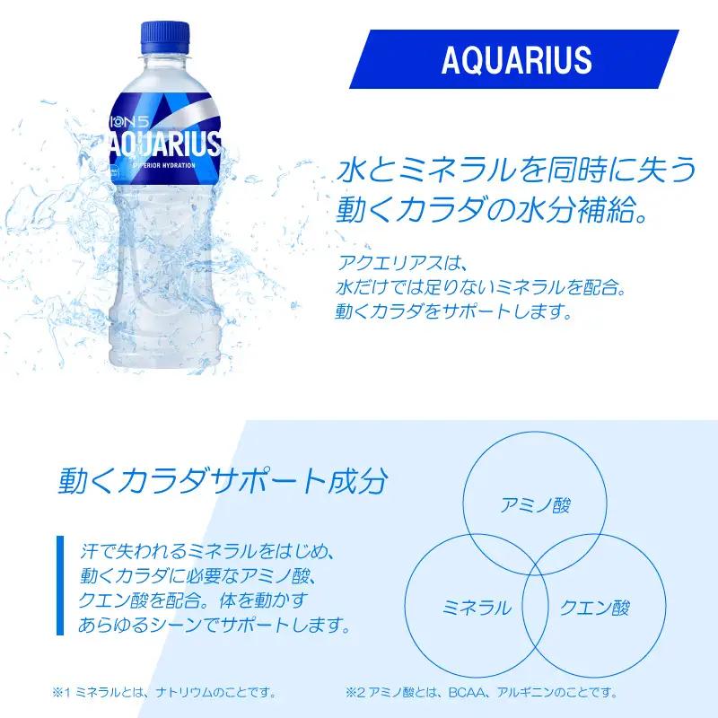 【定期便】アクエリアス 500mlPET（24本入）×3か月 コカ･コーラ  スポーツドリンク 水分補給 BB-0038