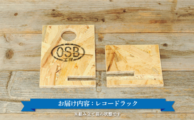 大工さん手作りの組み立てシリーズ《レコードラック》【43003】