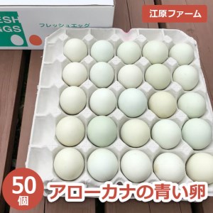 江原ファーム　アローカナの青い卵 50個 割れ補償 | 卵 たまご タマゴ  _AG02
